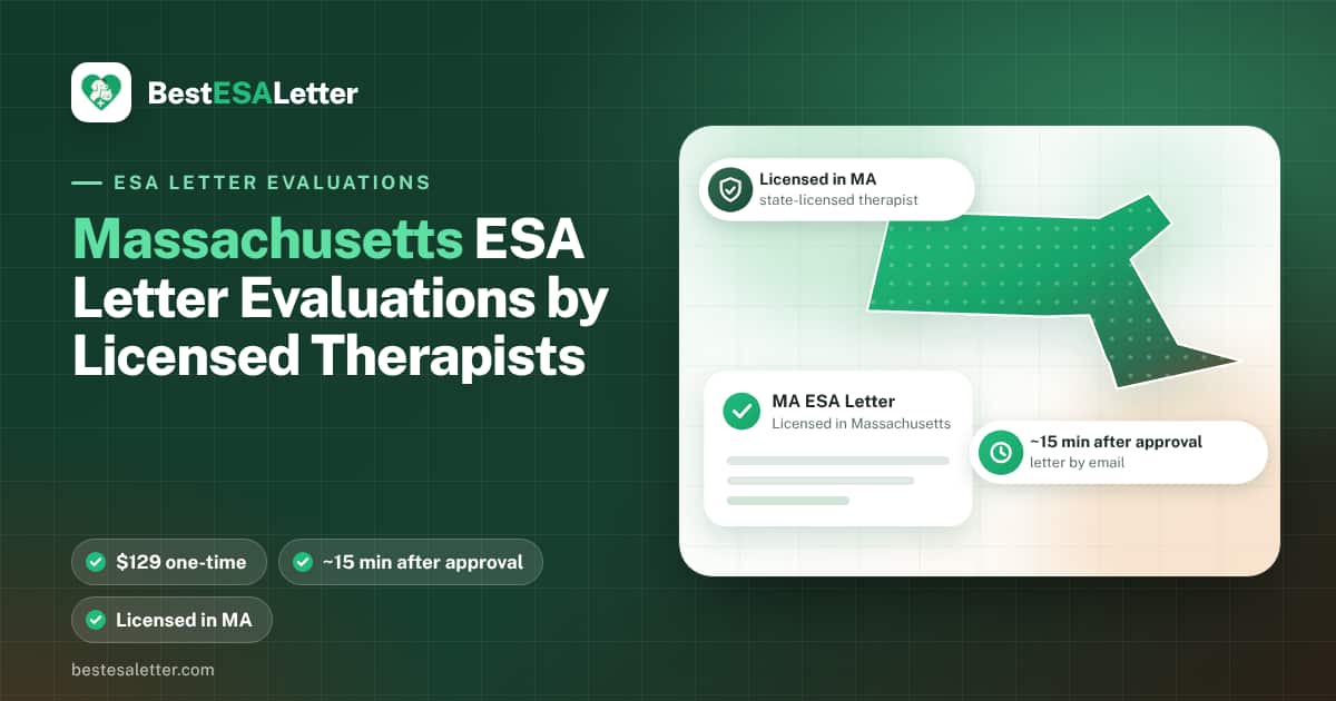 Massachusetts emotional support animal laws — 2026 guide