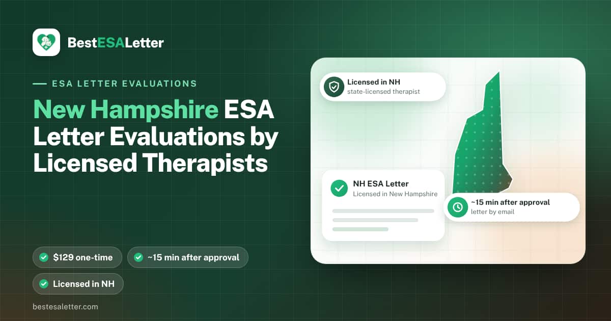New Hampshire emotional support animal laws — 2026 guide
